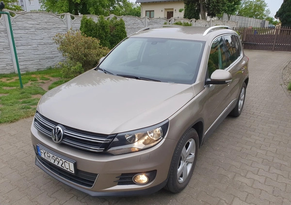 Volkswagen Tiguan cena 51990 przebieg: 210000, rok produkcji 2015 z Gubin małe 742